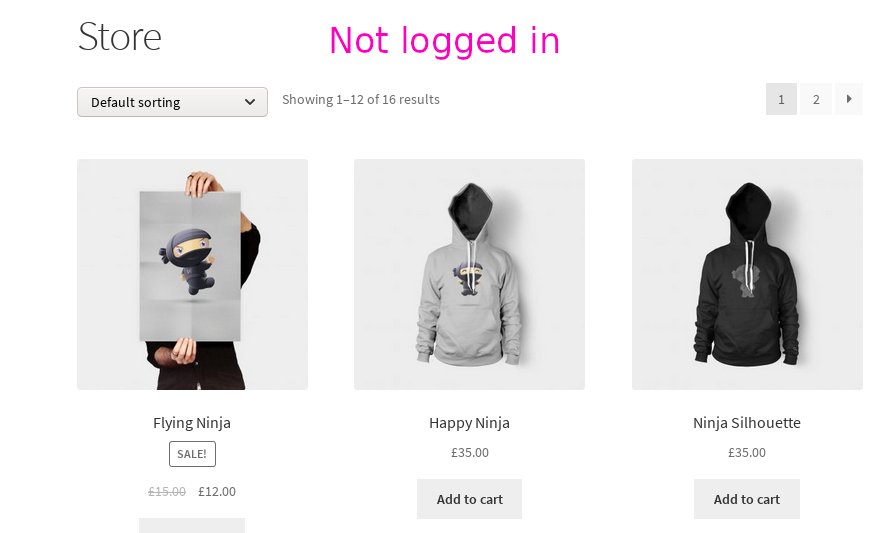 Screenshot - guest viewing store