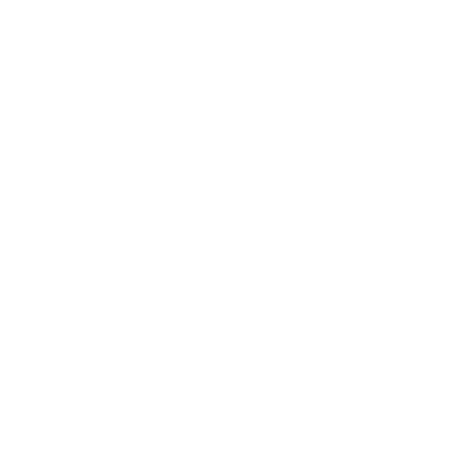 code icon