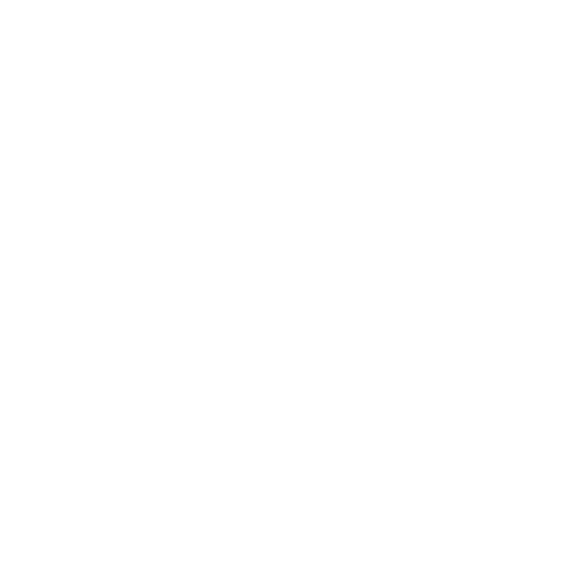 project manager icon