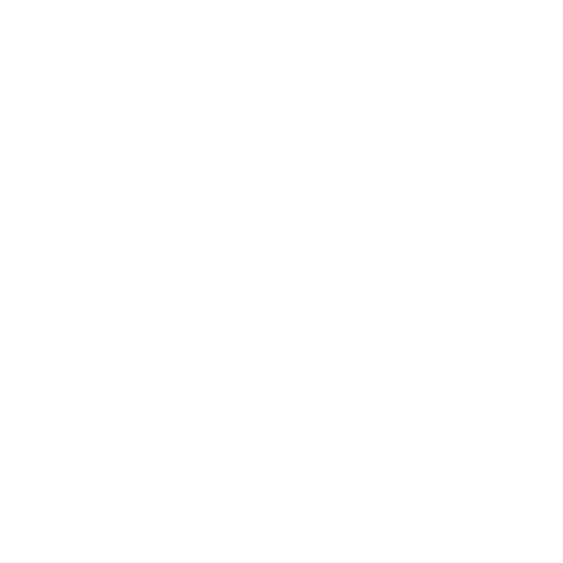 Rapid Delivery Icon