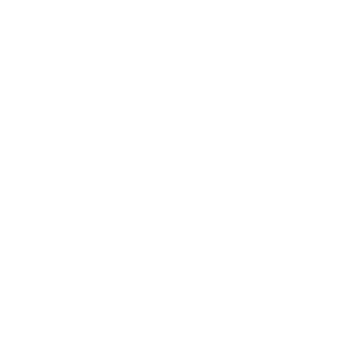shield icon